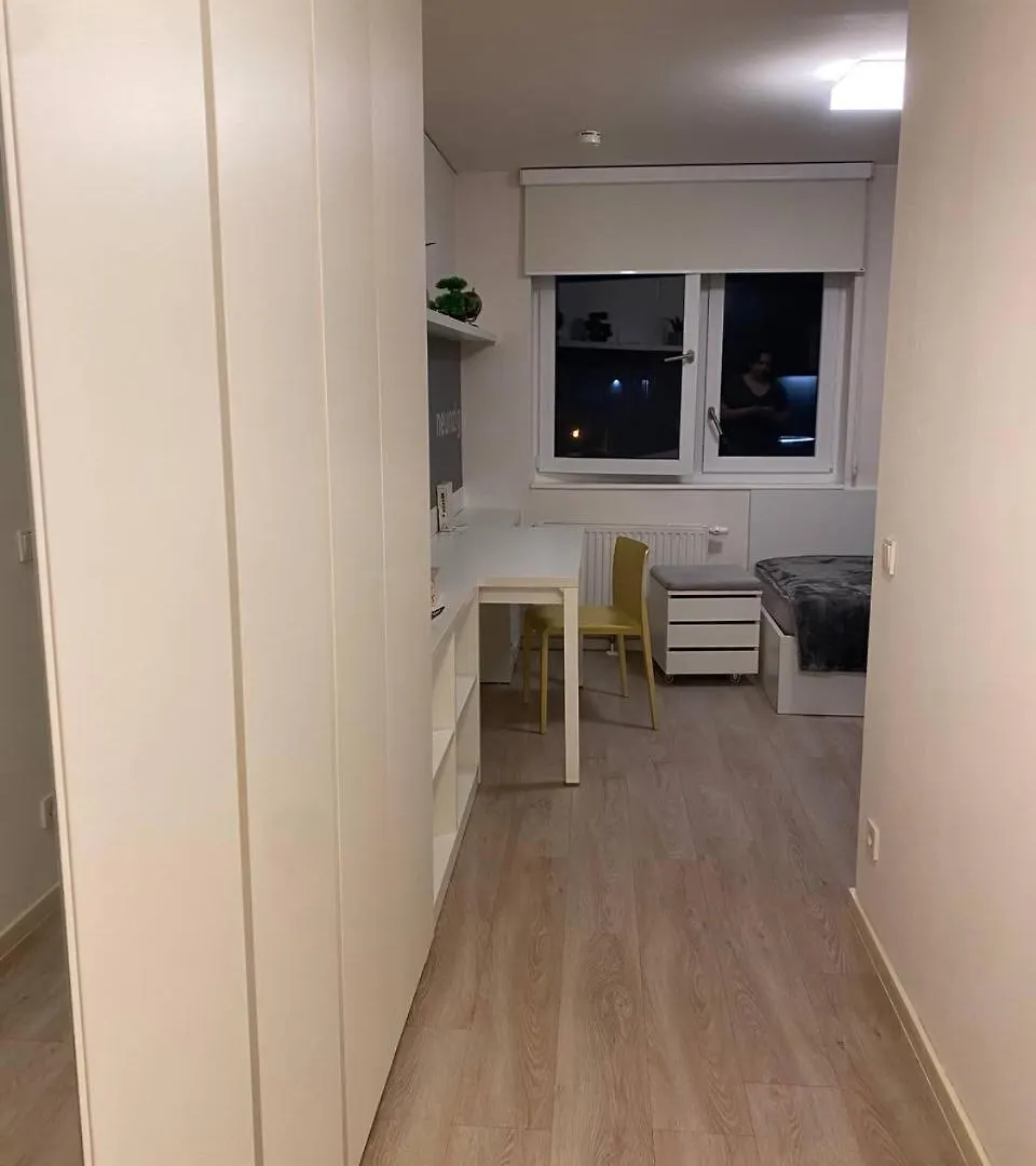 Apartment Modern Studio Near Mauerpark Berlin